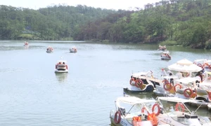 Tuần lễ vàng Du lịch: “Lâm Đồng,  Cao nguyên hùng vĩ”