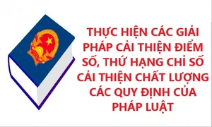 Lào Cai: Nâng cao điểm số, thứ hạng Chỉ số cải thiện chất lượng các quy định của pháp luật