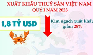 Kim ngạch xuất khẩu thủy sản quý I đạt khoảng 1,8 tỷ USD