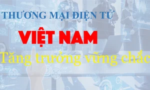 Thương mại điện tử Việt Nam tăng trưởng vững chắc