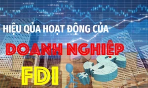 Hiệu quả hoạt động của doanh nghiệp FDI