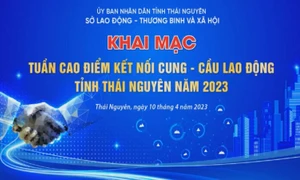 Bài cuối: Với mục tiêu tạo việc làm, nâng cao thu nhập