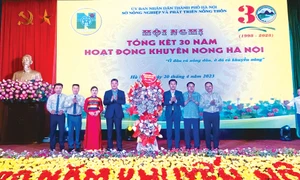 Hệ thống khuyến nông - “cầu nối” chuyển giao khoa học, công nghệ, kinh doanh cho nông dân