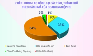 Chất lượng lao động là yếu tố quan trọng thu hút doanh nghiệp FDI