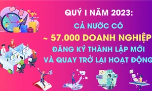 Quý I.2023, gần 34 nghìn doanh nghiệp đăng ký thành lập mới