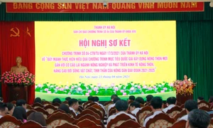 Hà Nội đổi mới mô hình tăng trưởng gắn với phát triển nông nghiệp sạch, nông nghiệp hữu cơ