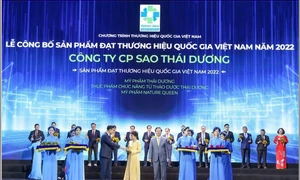 Sao Thái Dương nhận giải “Thương hiệu quốc gia Việt Nam năm 2022”