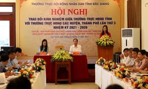 Để hoạt động giám sát ngày càng thiết thực, hiệu quả