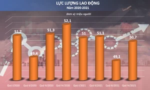 Lao động, việc làm có dấu hiệu phục hồi