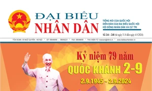 Ấn phẩm 2.9 số 244-248 phát hành ngày 30/08/2024