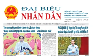 Số 141 ngày 20/05/2024