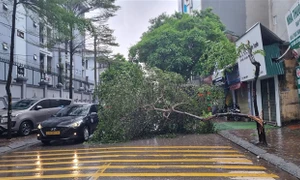 Hà Nội: Mưa lớn tập trung từ chiều 7.9, khuyến cáo người dân không ra khỏi nhà