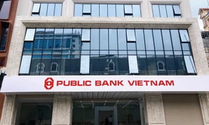 Kiểm toán các tổ chức tài chính ngân hàng năm 2022: Thiếu hụt vốn khả dụng, Public Bank, BVBank vi phạm tỷ lệ dự trữ bắt buộc