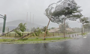 Cập nhật: Tâm bão Yagi cách Quảng Ninh - Hải Phòng 130km, dự kiến chiều nay “đổ bộ” đất liền