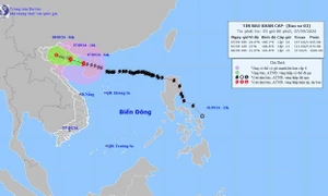 Cập nhật: Siêu bão Yagi cách Quảng Ninh - Thái Bình khoảng 150km, gió sẽ tiếp tục mạnh lên trên đất liền