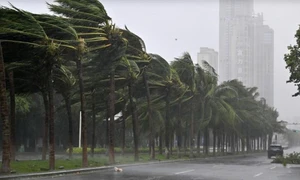 Siêu bão Yagi: Người dân tuyệt đối không ra ngoài lúc mưa to gió lớn, khi hoàn lưu bão ảnh hưởng trực tiếp