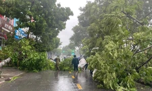 Bão Yagi hoành hành dữ dội khiến 4 người thiệt mạng, 78 người bị thương, hàng nghìn cây xanh bị đổ