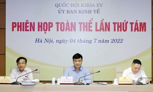 Ủy ban Kinh tế họp Phiên toàn thể lần thứ 8