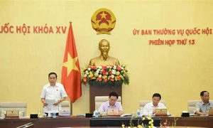 Thông qua Nghị quyết về vị trí, chức năng, nhiệm vụ, quyền hạn và cơ cấu tổ chức của Ban Công tác đại biểu