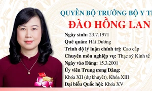 Bí thư Ban Cán sự Đảng, Quyền Bộ trưởng Bộ Y tế Đào Hồng Lan