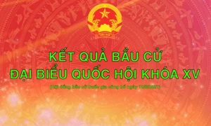 Kết quả bầu cử đại biểu Quốc hội Khóa XV