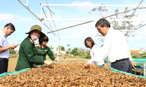 Sớm đề xuất chính sách hỗ trợ phát triển cà phê chất lượng cao