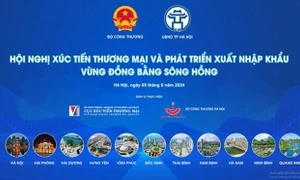 Xúc tiến thương mại và phát triển xuất nhập khẩu vùng đồng bằng sông Hồng