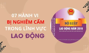 Những hành vi nào bị nghiêm cấm trong lĩnh vực lao động năm 2024?