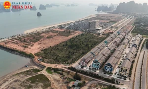 Vân Đồn (Quảng Ninh): Cận cảnh khu nghỉ dưỡng view “triệu đô” nhưng vắng bóng người của CEO Group