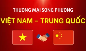 Thương mại song phương Việt Nam - Trung Quốc