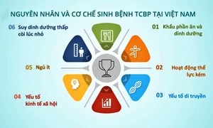 Thừa cân, béo phì và các bệnh không lây nhiễm đang có xu hướng gia tăng tại Việt Nam