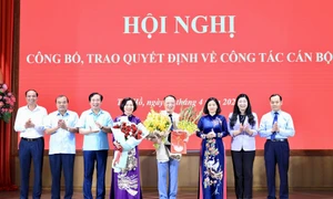 Hà Nội: Ông Nguyễn Lê Hoàng giữ chức vụ Phó Bí thư Quận ủy Tây Hồ