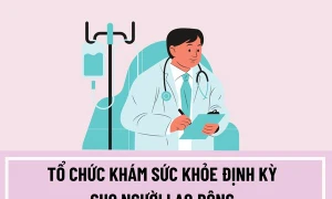 Doanh nghiệp phải chịu trách nhiệm gì khi không thực hiện khám sức khỏe định kỳ cho người lao động?