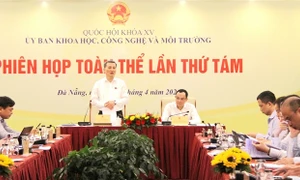 Ủy ban Khoa học, Công nghệ và Môi trường thẩm tra báo cáo của Chính phủ về thực hiện các Nghị quyết của Quốc hội về chuyển mục đích sử dụng rừng