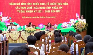 Hội nghị đánh giá tình hình triển khai, tổ chức thực hiện các nghị quyết của HĐND tỉnh Bắc Giang