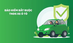 Triển khai bảo hiểm bắt buộc trách nhiệm dân sự của chủ xe ô tô trên nền tảng Zalopay