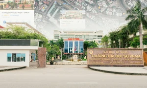 Trường Đại học Sư phạm - Đại học Đà Nẵng thưởng 5 triệu đồng cho thí sinh nam đăng ký học ngành giáo dục mầm non