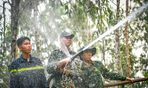 Kiên Giang: Điều động hàng trăm cán bộ, chiến sĩ chữa cháy rừng tại huyện Giang Thành