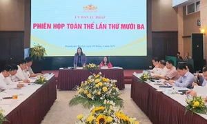 Ủy ban Tư pháp thẩm tra dự án Luật Tư pháp người chưa thành niên