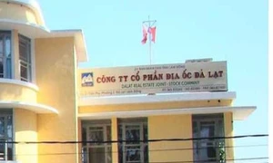 Công ty Cổ phần Địa ốc Đà Lạt sử dụng hàng loạt nhà, đất thuê của Nhà nước không đúng mục đích