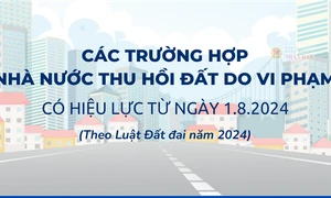 Các trường hợp thu hồi đất do vi phạm pháp luật về đất đai