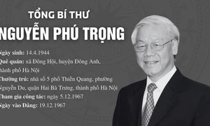 TÓM TẮT TIỂU SỬ ĐỒNG CHÍ NGUYỄN PHÚ TRỌNG Tổng Bí thư Ban Chấp hành Trung ương Đảng Cộng sản Việt Nam