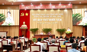 Phát huy tiềm năng, tạo đà phát triển