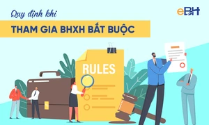 Mức đóng bảo hiểm xã hội bắt buộc, bảo hiểm xã hội tự nguyện năm 2024?