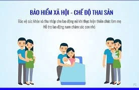 Người tham gia bảo hiểm xã hội tự nguyện được hưởng chế độ thai sản