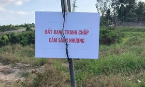 Cần giải quyết dứt điểm, hợp tình vụ tranh chấp đất kéo dài gần 40 năm tại Tiền Giang