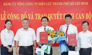 Tổng công ty Điện lực TP. Hồ Chí Minh điều động, bổ nhiệm cán bộ