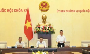 Ủy ban Thường vụ Quốc hội tán thành bổ sung 2 dự án Luật vào Chương trình xây dựng luật, pháp lệnh năm 2024