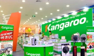 Mỗi ngày “bỏ túi” hơn 600 triệu đồng, Kangaroo bất ngờ “lột xác” sau gần hai thập kỷ ?