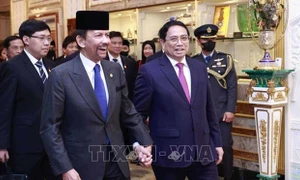 Thủ tướng Chính phủ Phạm Minh Chính hội đàm với Quốc vương Brunei Hassanal Bolkiah